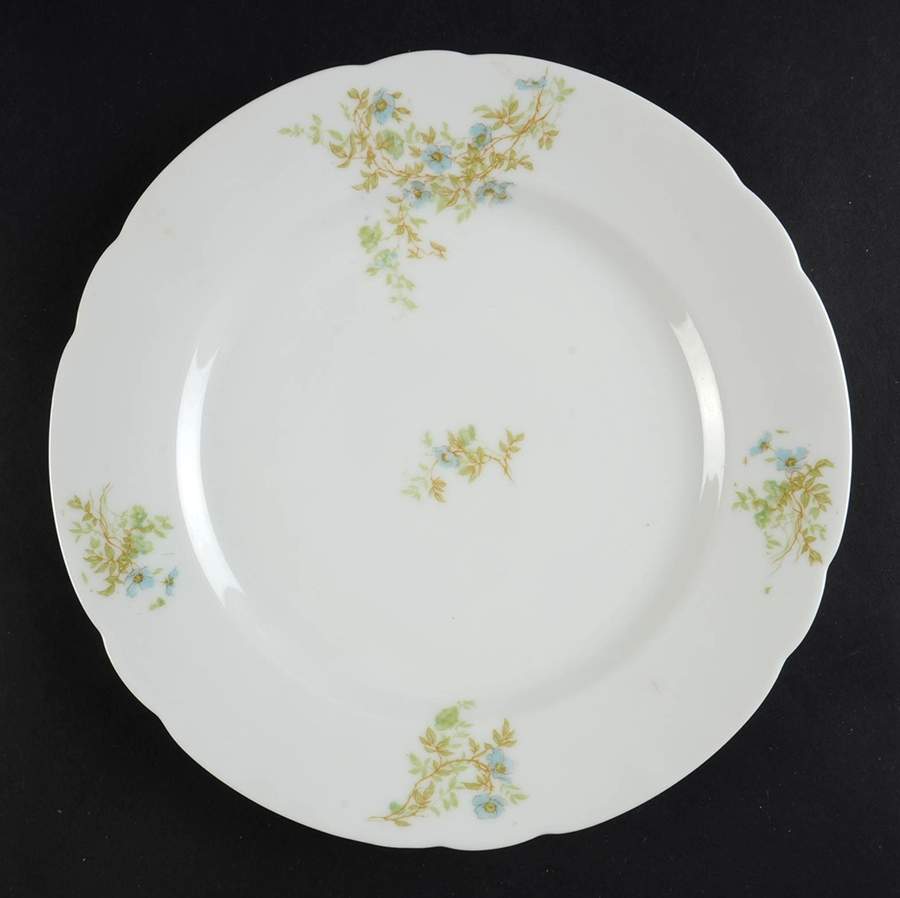 VNN83 Dinner Plate by Vienna-1