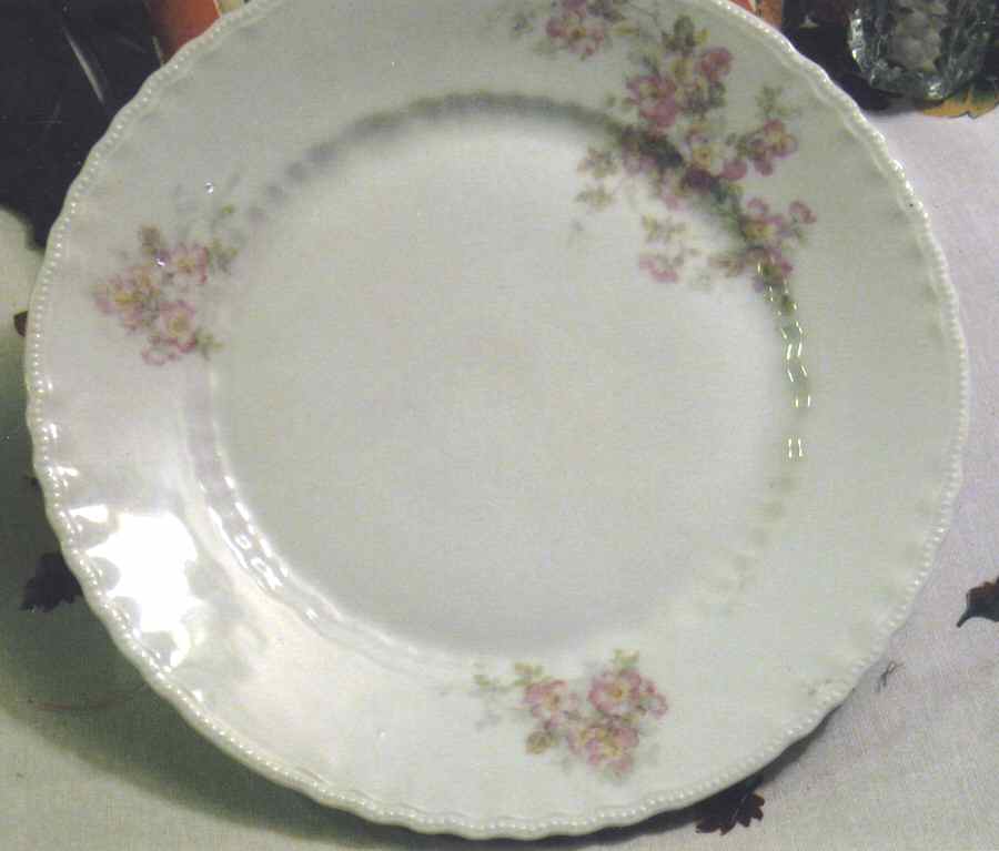 VTO203 Dinner Plate by Victoria (Austria)-1