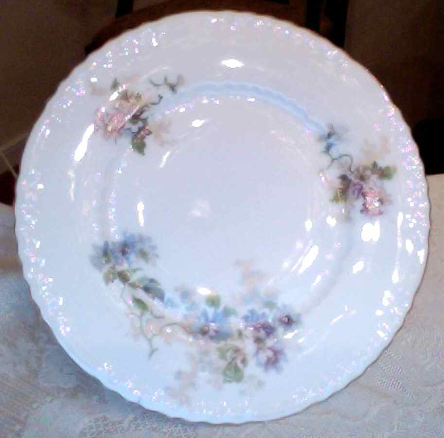 VTO204 Dinner Plate by Victoria (Austria)-1
