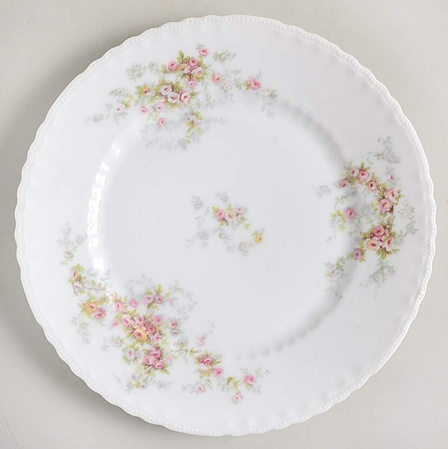 VTO206 Dinner Plate by Victoria (Austria)-1