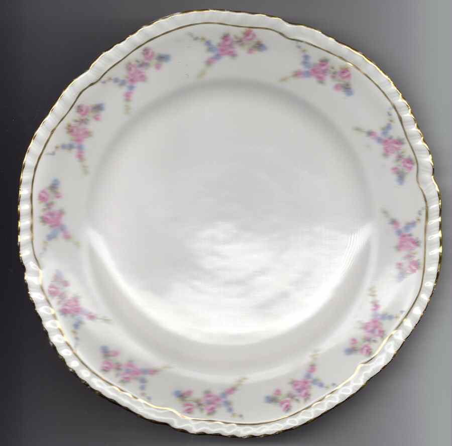 VNN86 Dinner Plate by Vienna-1
