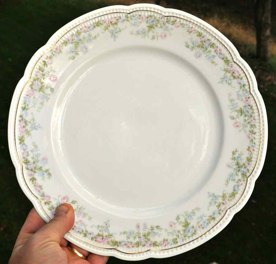 VNN87 Dinner Plate by Vienna-1