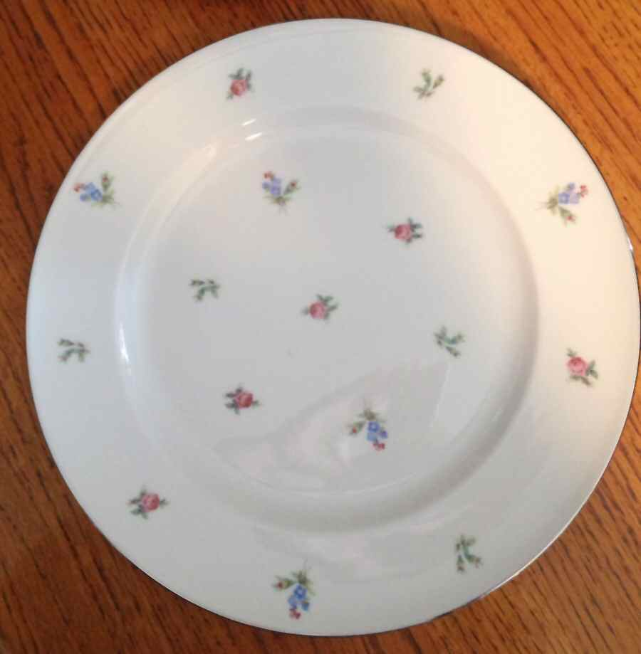 VIC1 Dinner Plate by Vita Craft-1