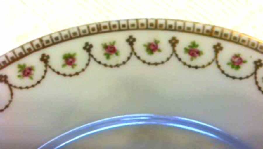 VTO209 Dinner Plate by Victoria (Austria)-1