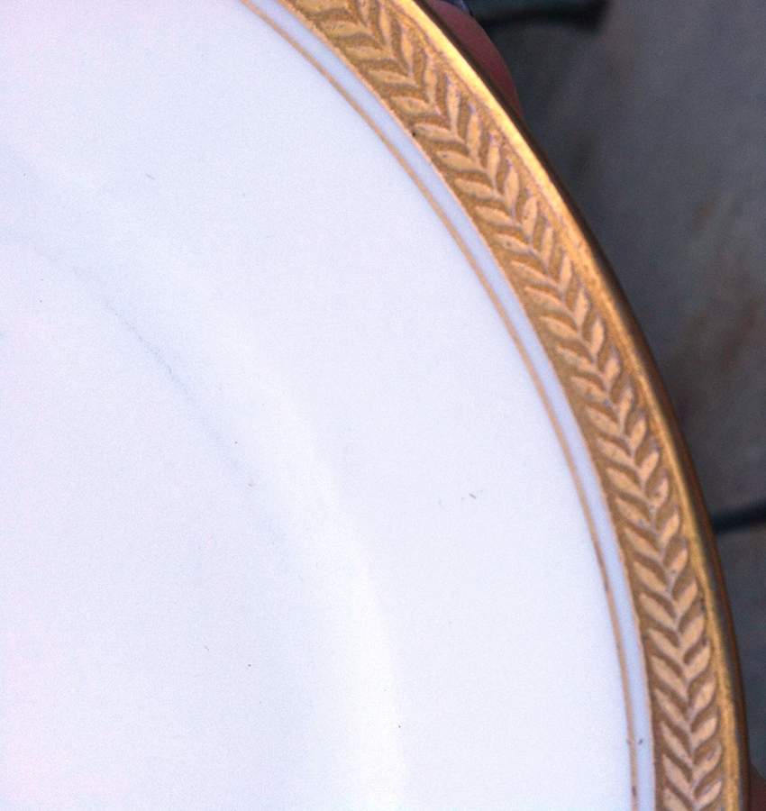VIT378 Dinner Plate by Victoria (Czech)-1
