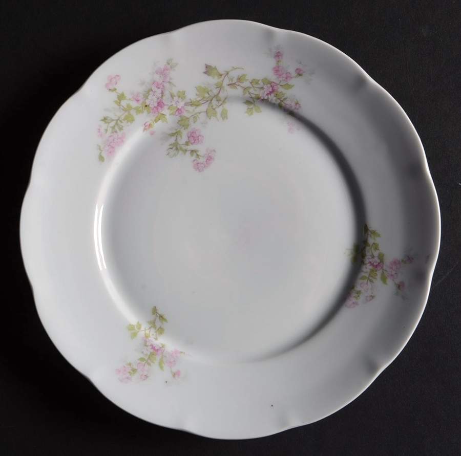 VTO216 Salad Plate by Victoria (Austria)-1