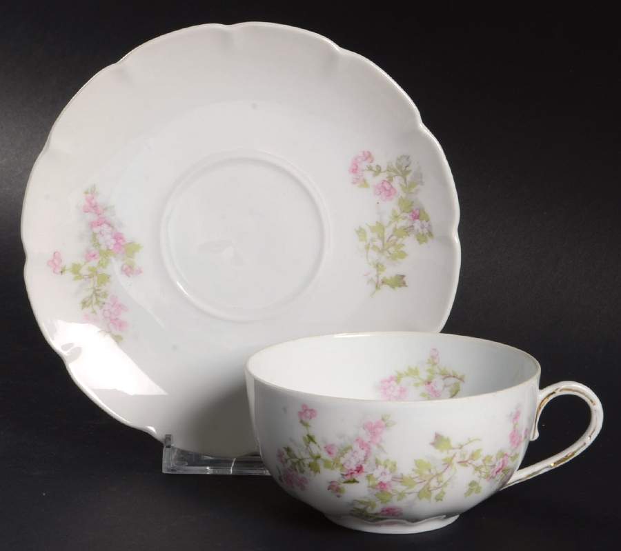 VTO216 Flat Cup & Saucer Set by Victoria (Austria)-1