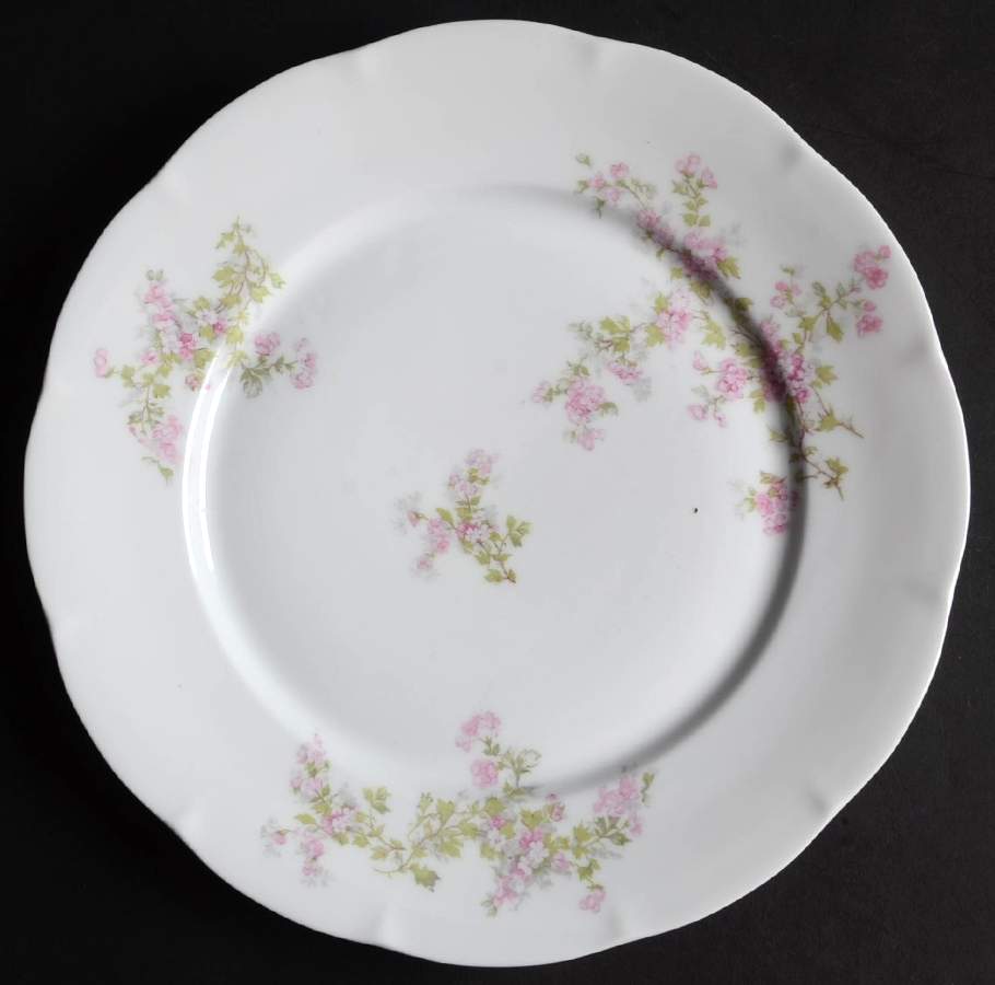 VTO216 Dinner Plate by Victoria (Austria)-1