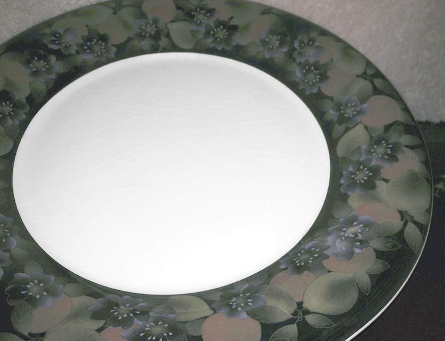 VTT2 Dinner Plate by Vitantonio (Italy)-1