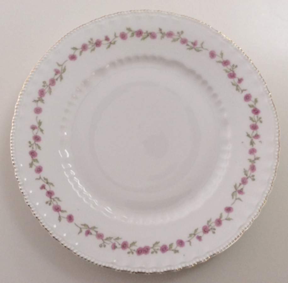 VTO218 Dinner Plate by Victoria (Austria)-1