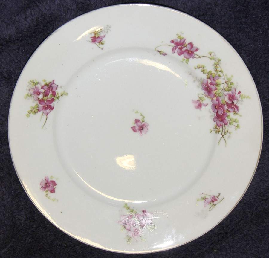 VTO222 Dinner Plate by Victoria (Austria)-1