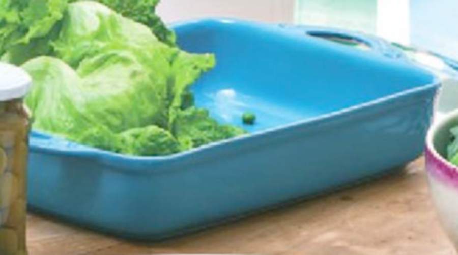 Veggies 15" Rectangular Baker by Vista Alegre-1