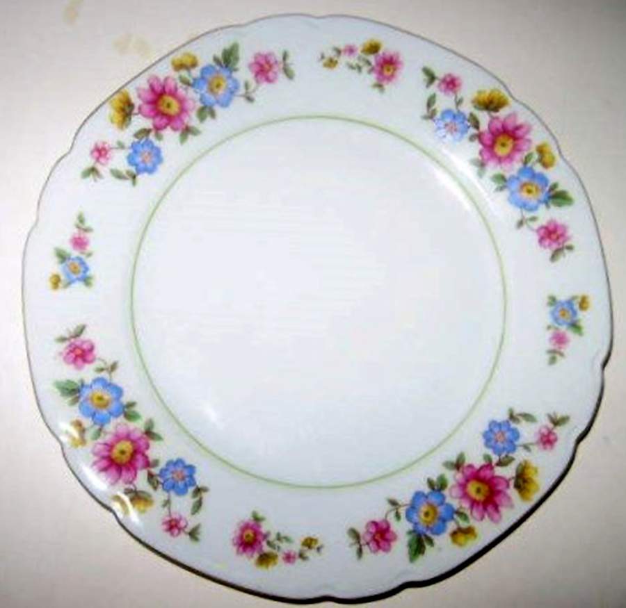 144 Salad Plate by Victoria (Czech)-1