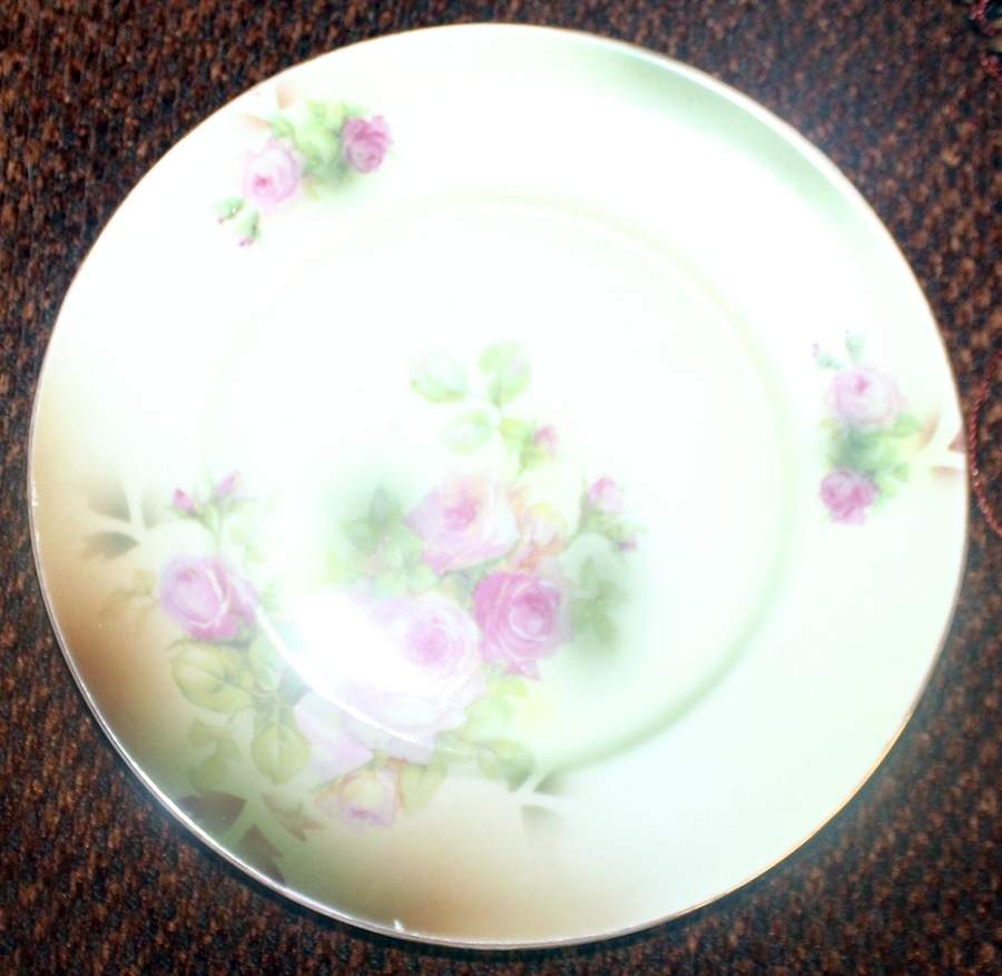 VTO228 Dinner Plate by Victoria (Austria)-1