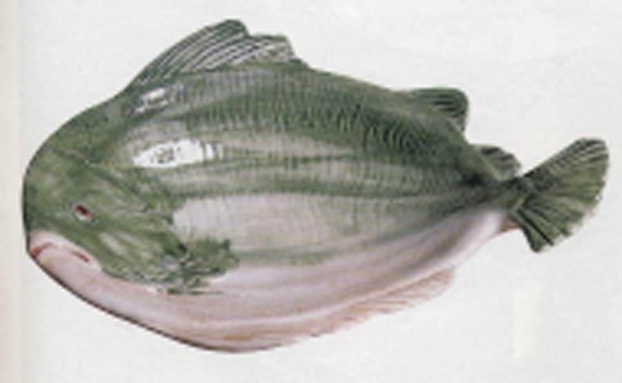 Marinara Fish Shaped Server by Vietri (Italy)-1