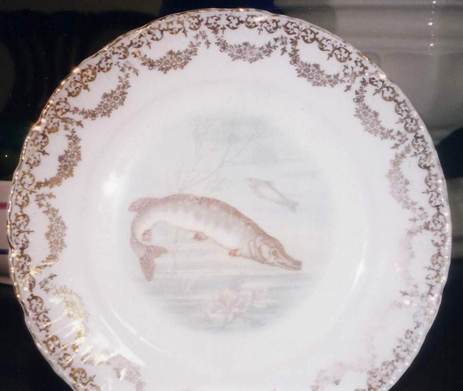 VTO231 Dinner Plate by Victoria (Austria)-1