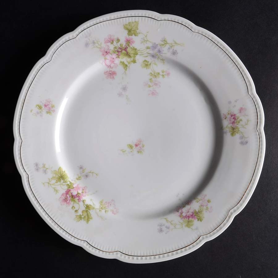 VNN92 Dinner Plate by Vienna-1