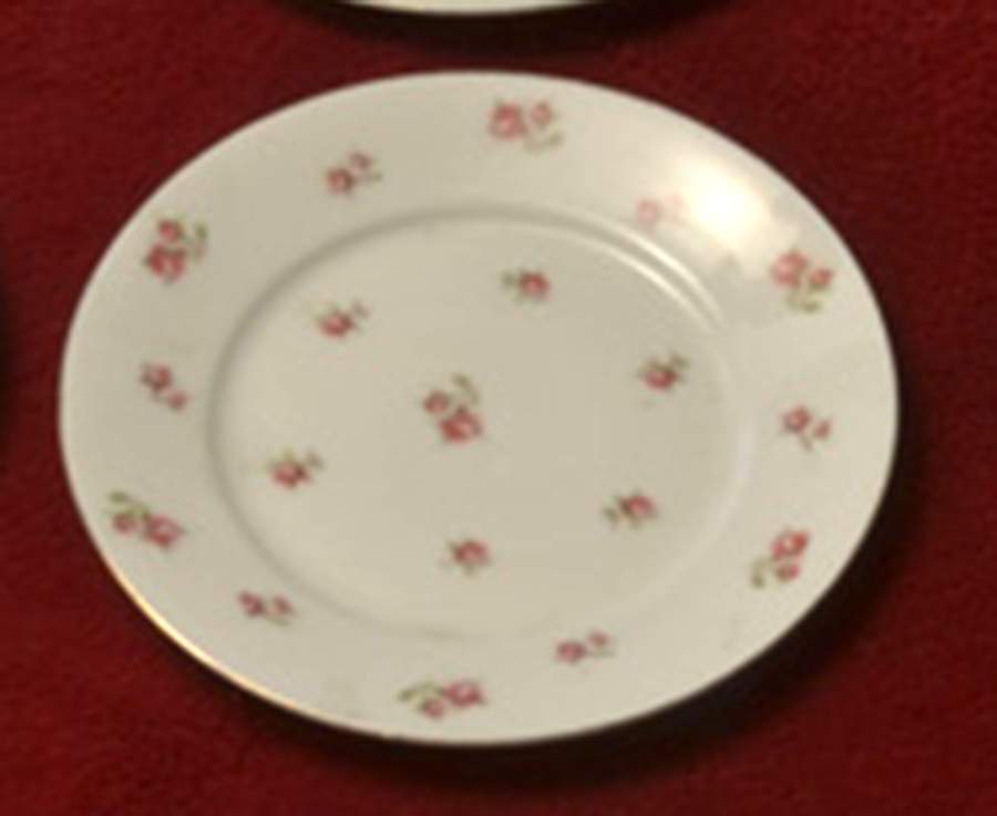 VTO234 Salad Plate by Victoria (Austria)-1