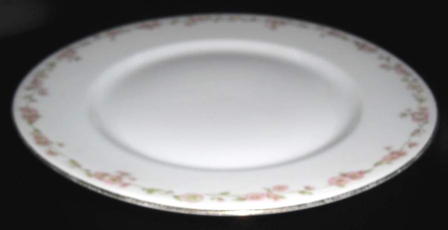 VIG196 Salad Plate by Vignaud-1