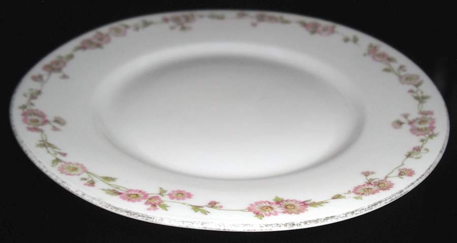 VIG196 Dinner Plate by Vignaud-1