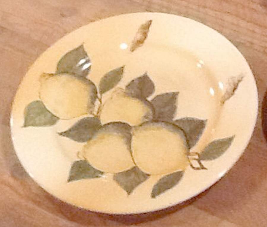 VVA1 Dinner Plate by Viva Terra-1