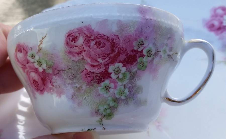 VTO240 Flat Cup by Victoria (Austria)-1