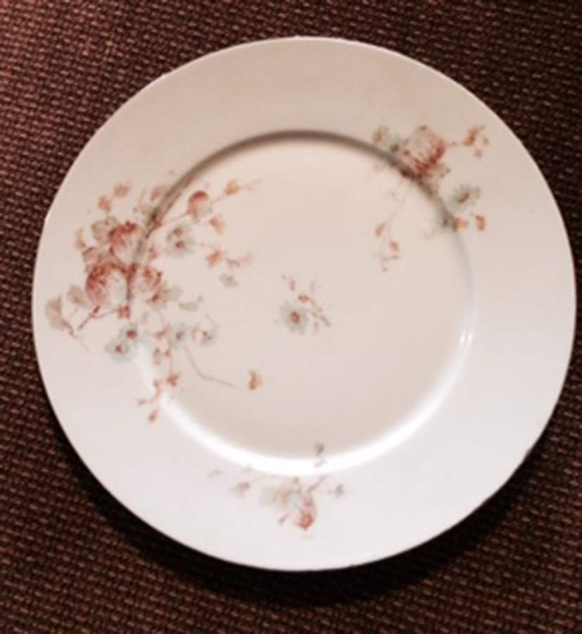 VTO242 Dinner Plate by Victoria (Austria)-1