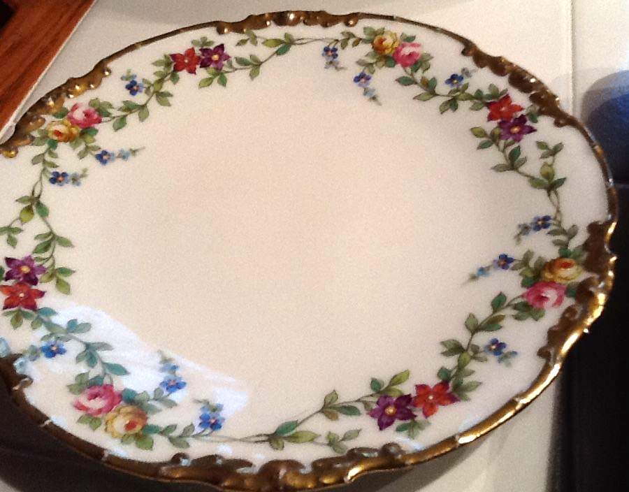 VIG203 Dinner Plate by Vignaud-1