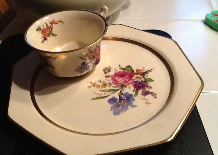 VIG204 Dinner Plate by Vignaud-1