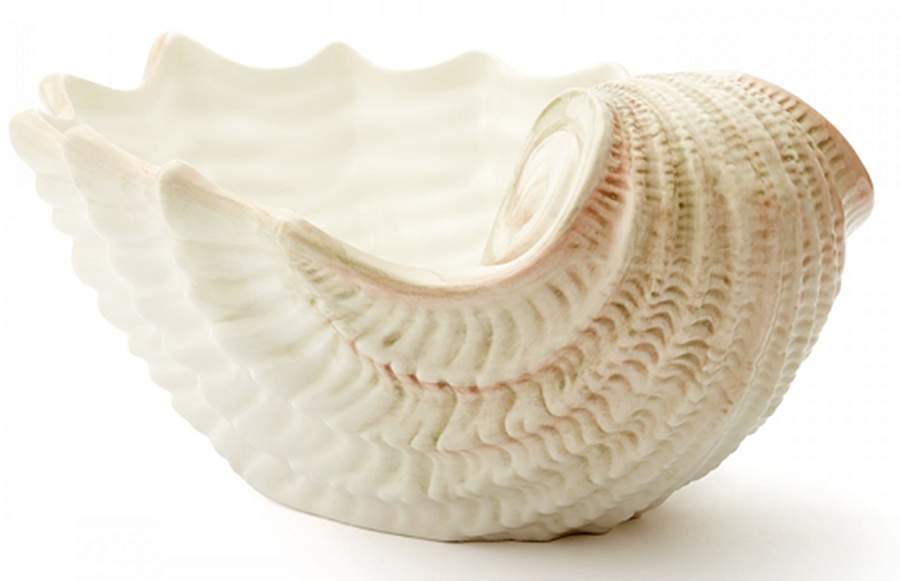Isola Mare 15" Shell Shaped Bowl by Vietri (Italy)-1