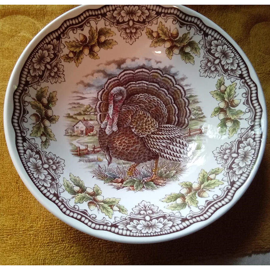 Homeland Turkey Soup/Cereal Bowl by Victorian English Pottery-Royal Stafford-1