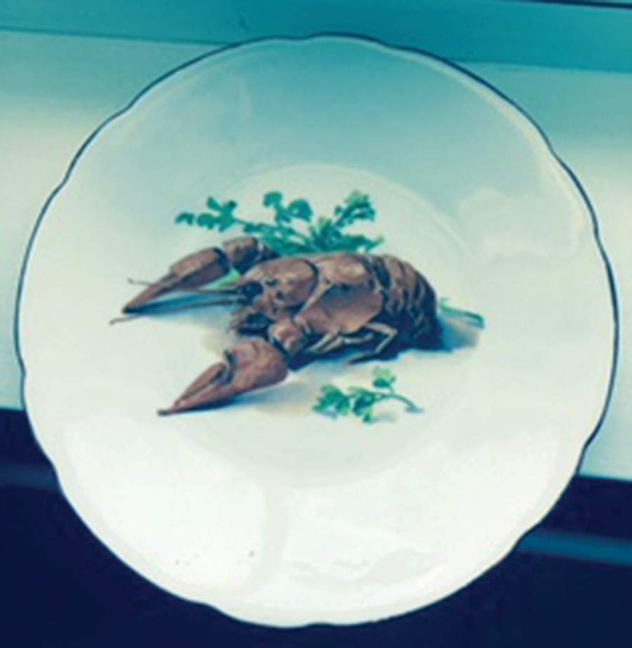 VIT409 Salad Plate by Victoria (Czech)-1