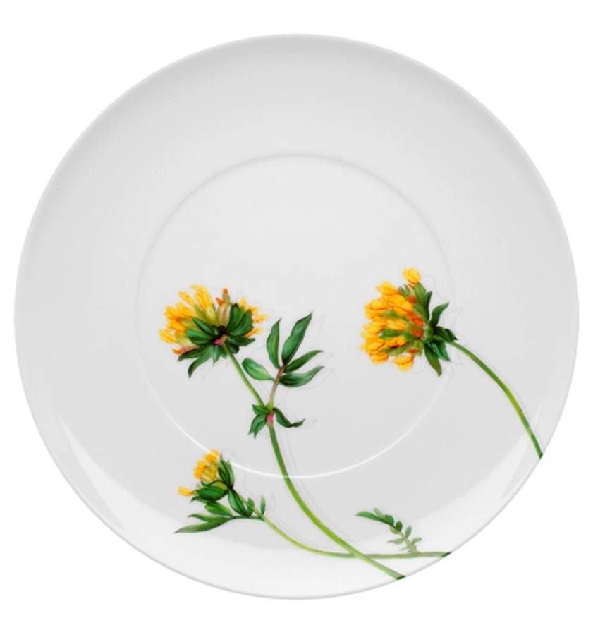 Prairie Salad/Dessert Plate by Vista Alegre-1