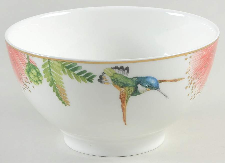 Amazonia Rice Bowl by Villeroy & Boch-1