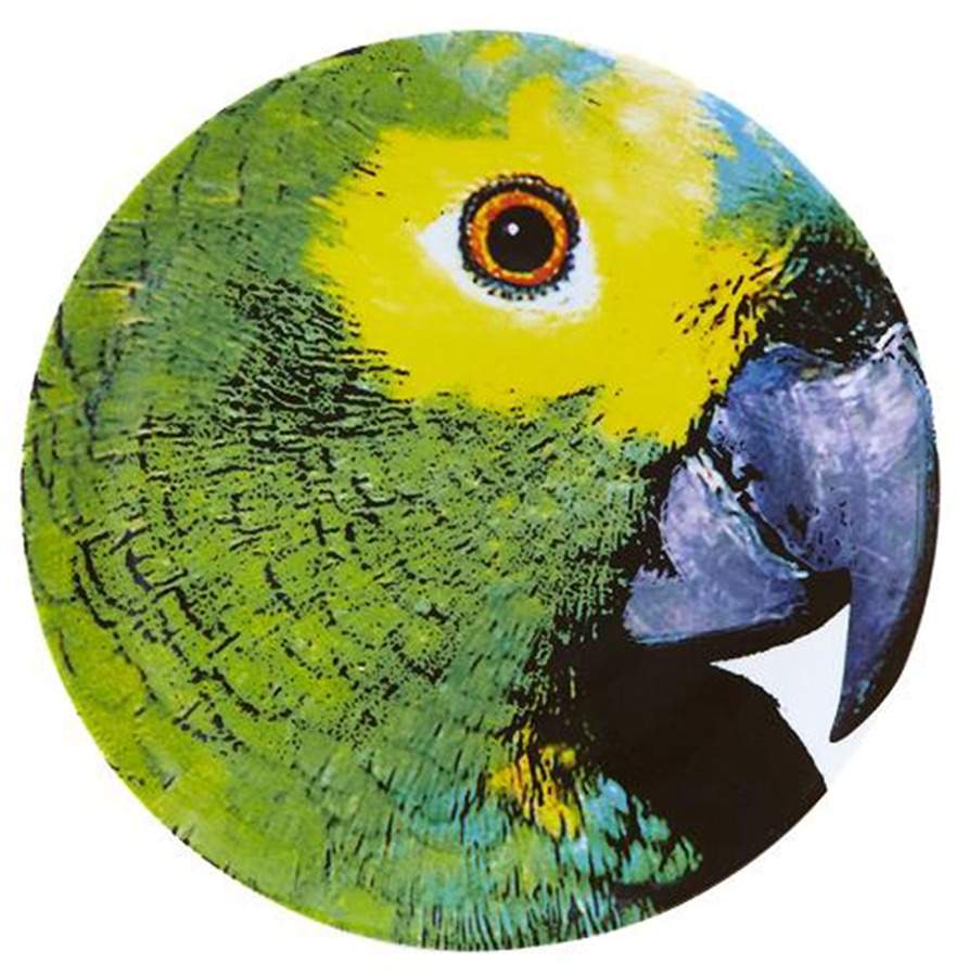 Olhar O Brasil Service Plate (Charger) by Vista Alegre-1