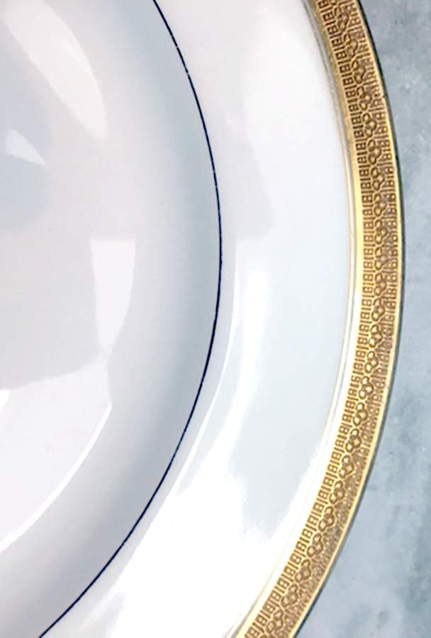 VIG208 Dinner Plate by Vignaud-1