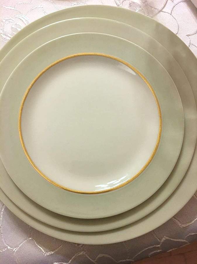 VIG209 Dinner Plate by Vignaud-1
