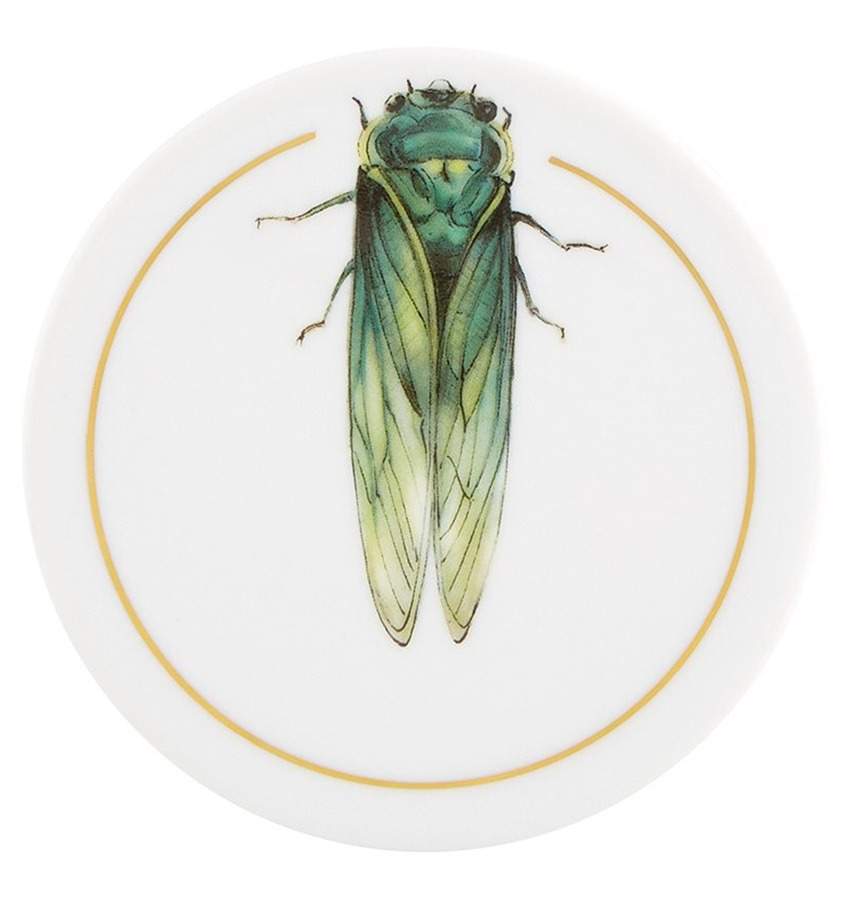 Insects Coaster by Vista Alegre-1