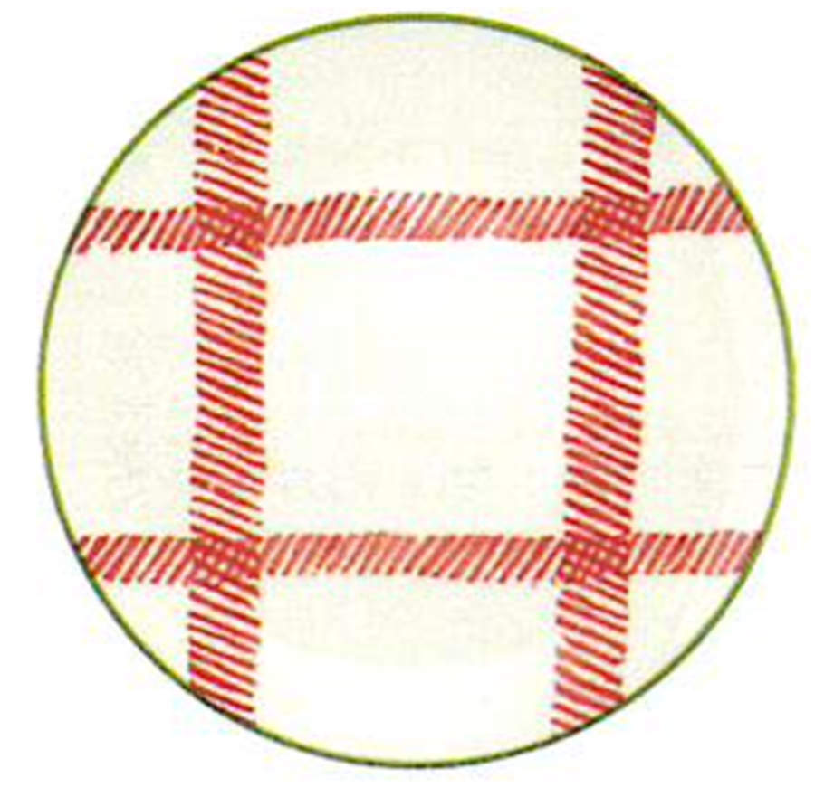 Mistletoe Dinner Plate by Vietri (Italy)-1