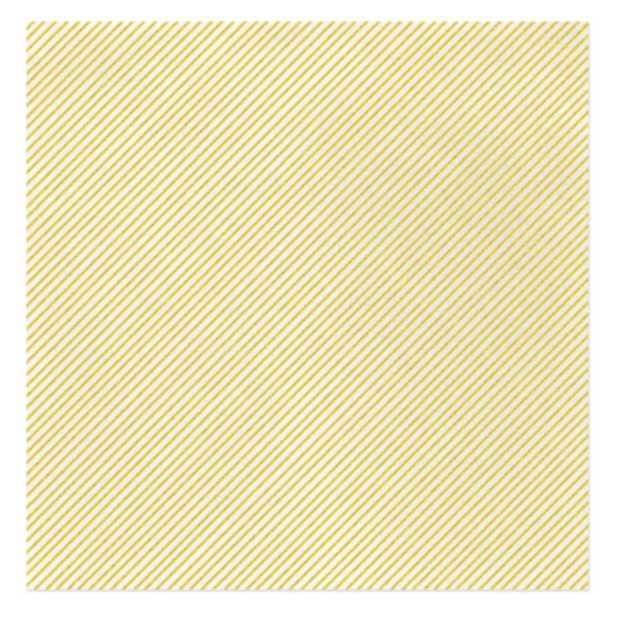 Papersoft Napkins Package of Paper Dinner Napkins by Vietri (Italy)-1