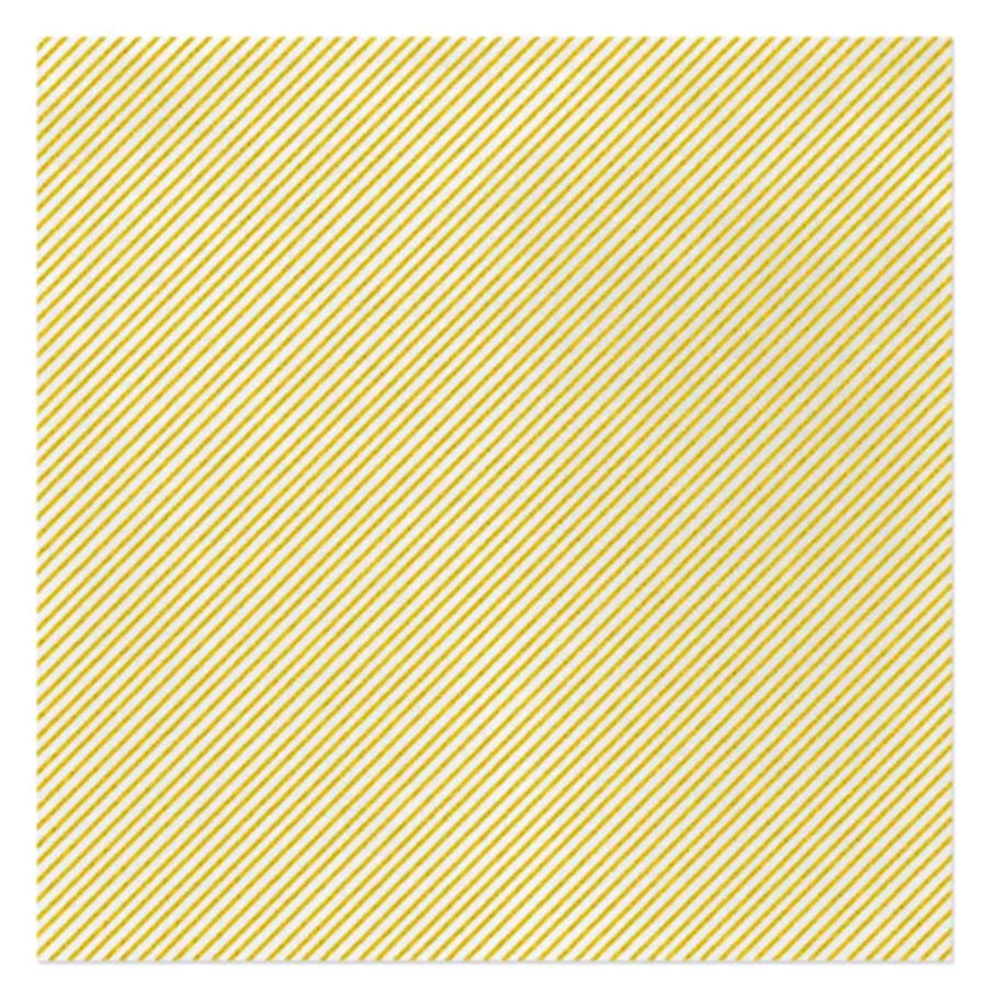 Papersoft Napkins Package of Paper Dinner Napkins by Vietri (Italy)-1