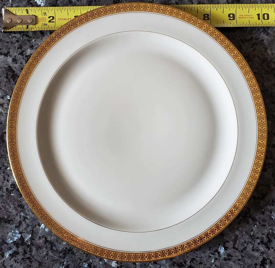 VIG210 Dinner Plate by Vignaud-1