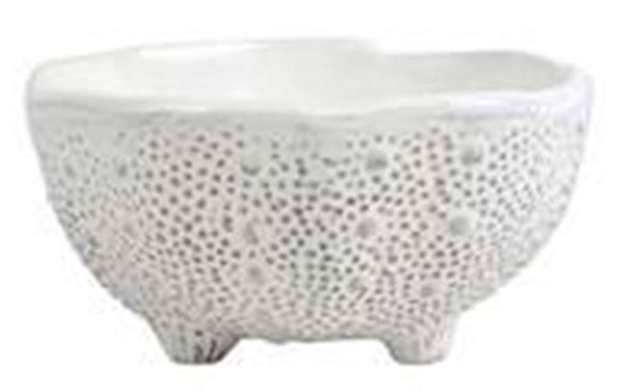 Acquatico 4" Shell Shaped Bowl by Vietri (Italy)-1