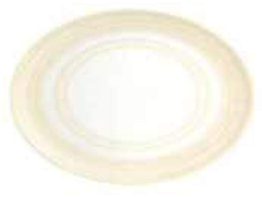 Ivory Bread & Butter Plate by Vista Alegre-1