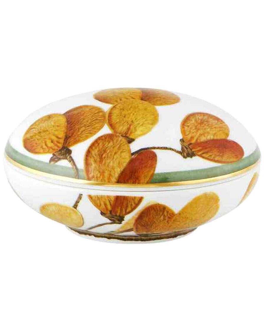 Amazonia 4" Round Box & Lid by Vista Alegre-1