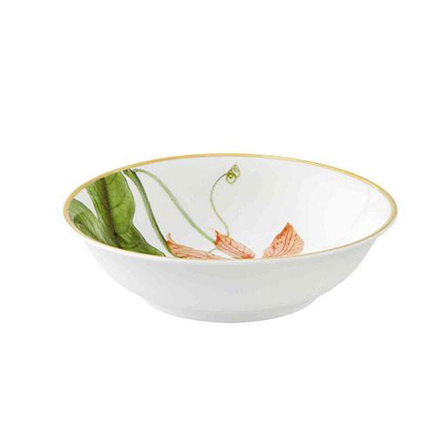 Amazonia Fruit/Dessert (Sauce) Bowl by Vista Alegre-1