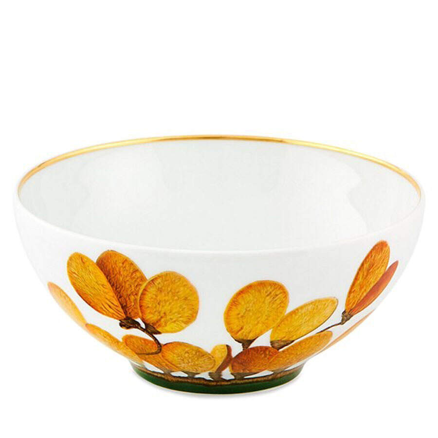 Amazonia Coupe Cereal Bowl by Vista Alegre-1
