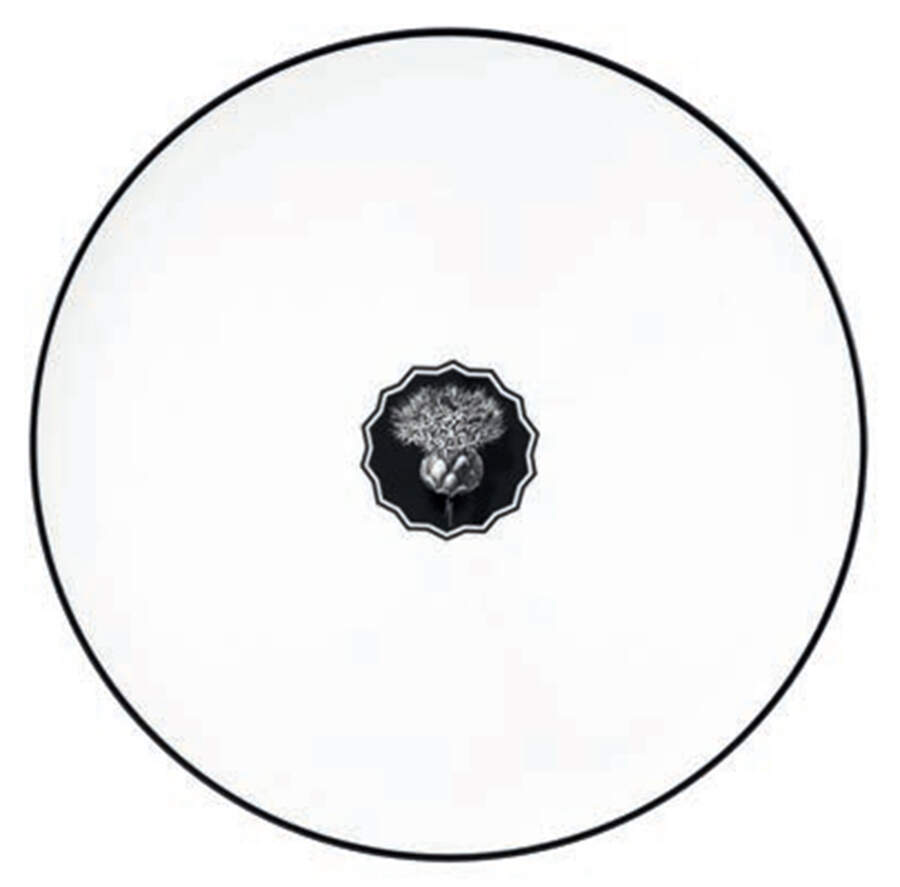 Herbariae Service Plate (Charger) by Vista Alegre-1