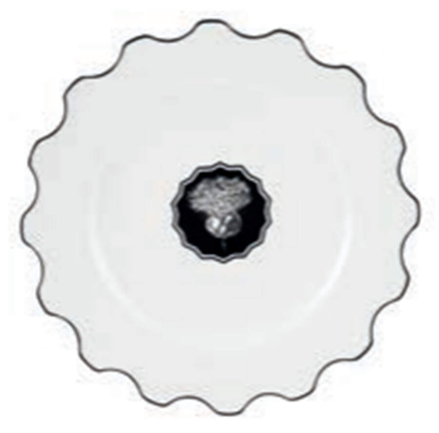 Herbariae Dinner Plate by Vista Alegre-1