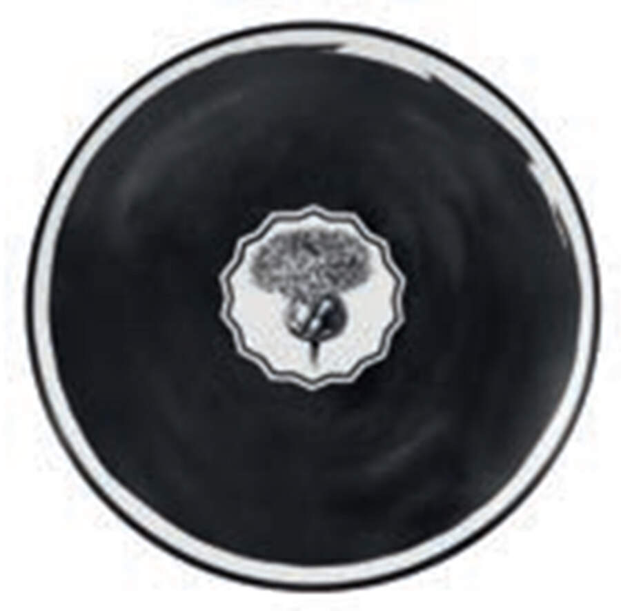 Herbariae Dessert/Pie Plate by Vista Alegre-1